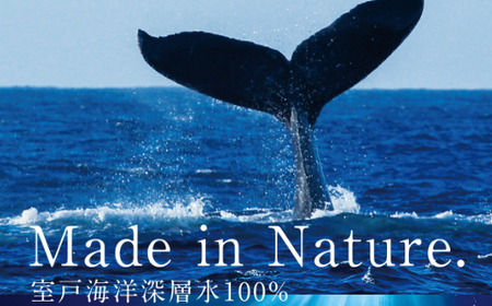  iSANAの塩 天日塩 海洋深層水 ソルト しお 調味料 天然 熱中症対策 