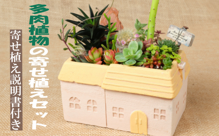 多肉植物の寄せ植えセット（メゾンレクトポット）長屋根