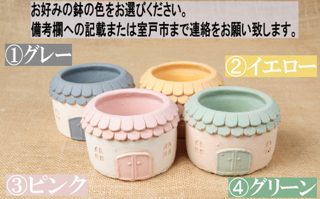 多肉植物の寄せ植えセット（メゾンラウンドポット）丸屋根