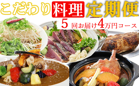 海土がお届けする定期便(５回発送)　4万円コース　かつおのたたき 鰹 カツオ カレー たんたん麺 小分け 担々? 鶏肉 惣菜 冷凍 冷蔵 40000円 スープカレー ご自宅 頒布会