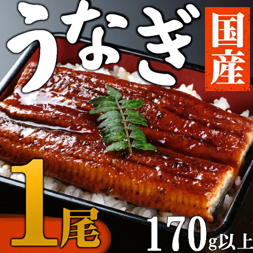 【数量限定】海土のうなぎの蒲焼き　１尾 ウナギ 鰻 惣菜 冷凍 おかず 10000円 １万円 魚介 訳あり