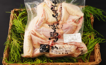 はちきん地鶏手羽先１ｋｇ _ag002