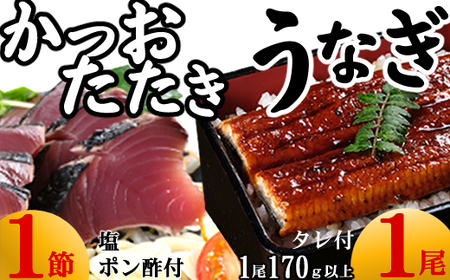【数量限定】うなぎの蒲焼き１尾とかつおのたたき１節　食べ比べセット　鰹 カツオ 鰻 ウナギ 惣菜 おかず 冷凍 魚 魚介 海鮮 カツオタタキ 15000円