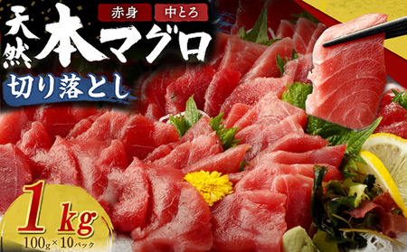 天然本マグロ 【中トロ・赤身】１kg (100g×10パック) 切落し 刺身 まぐろ マグロ 海鮮 刺身