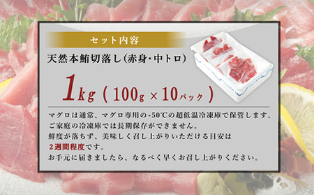 天然本マグロ 【中トロ・赤身】１kg (100g×10パック) 切落し 刺身 まぐろ マグロ 海鮮 刺身