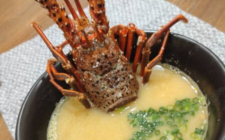 【捌き方レシピ・軍手付き】活きイセエビ漁師直送！！600g以上（1～2尾、1~2人前）海老 伊勢海老 伊勢エビ