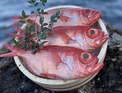 室戸金目鯛の煮付け