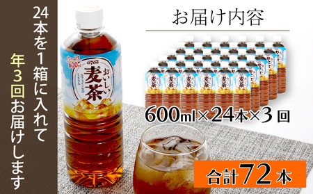 【定期便3ヶ月】おいしい麦茶600ml×24本（お茶）［お茶］