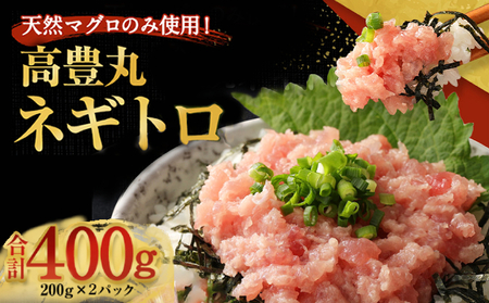 【お試しセット】 土佐流藁焼きかつおのたたき１節と高豊丸ネギトロ４００ｇ 魚介類 海産物 カツオ 鰹 わら焼き 高知 海鮮 冷凍 家庭用 訳あり 不揃い 規格外 小分け 個包装 まぐろ マグロ 鮪 ねぎとろ【日時指定可】