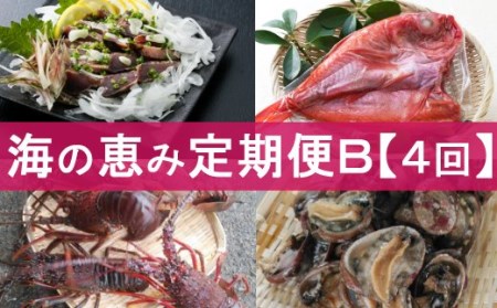 UM026【年4回】発送室戸海の恵み定期便B
