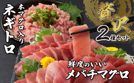 まぐろ お手軽セット 【赤身切落し・本マグロ入りネギトロ】計660ｇ まぐろ 切落し ネギトロ 本まぐろ 刺身 マグロ 海鮮 メバチマグロ 鮪 ねぎとろ 赤身 10000円 1万円 まぐろ マグロ 鮪 海鮮 刺身