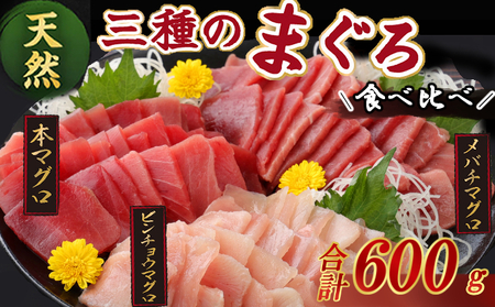 【3種のまぐろお手軽グルメセット】 600g 本マグロ ビンチョウマグロ メバチマグロ スライス 切り落とし 切落し 天然 鮪 刺身 刺し身 食べ比べ 魚 さかな 高知 室戸 冷凍 小分け 便利 10000円 1万円 tk090
