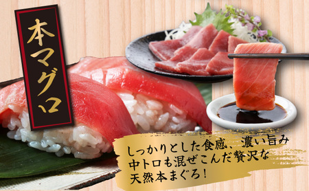 マグロ3種 小分け 約600g 【まぐろ】tk090