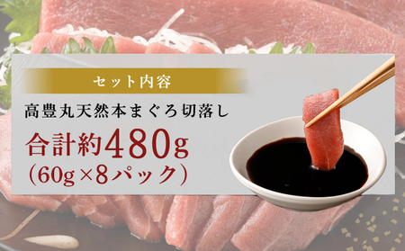 まぐろ お刺身【ちょこっとパック】480g(60g×8パック) 赤身切落し 天然まぐろ 本まぐろ 刺身 海鮮 魚介 魚 マグロ 高知県 簡単 惣菜 訳あり まぐろ