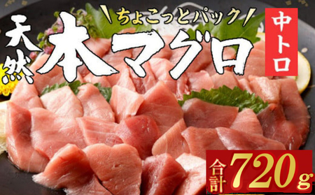 まぐろ 中トロ 刺身 【ちょこっとパック】720g(60g×12パック) 中トロ切落し 天然まぐろ 本まぐろ 刺身 海鮮 魚介 魚 マグロ 高知県 まぐろ 簡単 惣菜 訳あり まぐろ