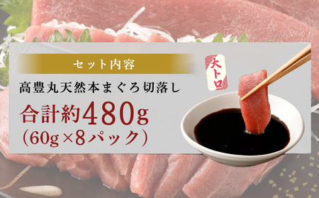 まぐろ 大トロ 刺身 【ちょこっとパック】480g(60g×8パック) 大トロ切落し 天然まぐろ 本まぐろ 刺身 海鮮 魚介 魚 マグロ 高知県 まぐろ 簡単 惣菜 訳あり まぐろ