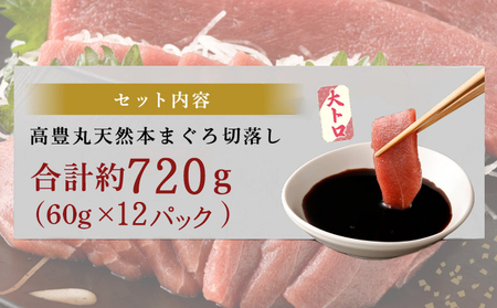 まぐろ 大トロ 刺身 【ちょこっとパック】720g(60g×12パック) 大トロ切落し 天然まぐろ 本まぐろ 刺身 海鮮 魚介 魚 マグロ 高知県 まぐろ 簡単 惣菜 訳あり まぐろ