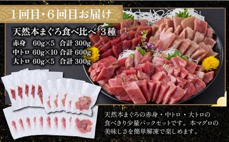 贅沢定期便【タカ】全10回≪タカシン水産厳選 高知の海鮮セット≫ 海鮮 福袋 天然マグロ ねぎとろ丼 まぐろ マグロ まぐろたたき まぐろのたたき 海鮮 魚介 魚 小分け 冷凍 個装 便利 簡単 お手軽 定期便 10回