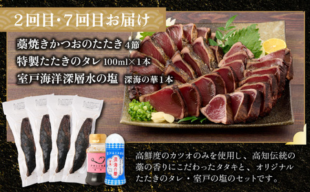 贅沢定期便【タカ】全10回≪タカシン水産厳選 高知の海鮮セット≫ 海鮮 福袋 天然マグロ ねぎとろ丼 まぐろ マグロ まぐろたたき まぐろのたたき 海鮮 魚介 魚 小分け 冷凍 個装 便利 簡単 お手軽 定期便 10回