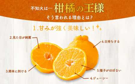 岡村農園の不知火【３ｋｇ】＜秀品　果物　柑橘＞　ＤＰ００１