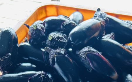 《 定期便/全３回 》 揚げナス 合計3.6kg【輪切り】海洋深層水仕込みのナス使用 カット済 揚げなす 野菜 やさい ナス なす 茄子 生産量日本一 高知 室戸 惣菜 便利 用途 豊富 カット野菜 調理 ハウス栽培 小分け  頒布会