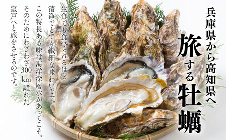 室津牡蠣 殻付き8から10個 牡蠣[ak003]