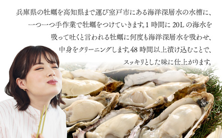 室津牡蠣 殻付き8から10個 牡蠣[ak003]