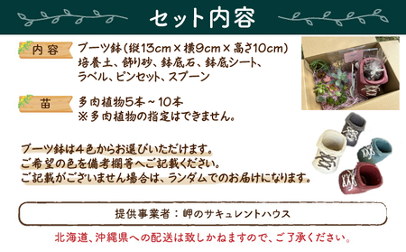 多肉植物の寄せ植えセット5本～10本