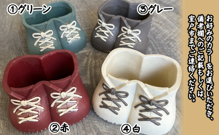 多肉植物の寄せ植えセット (両足)5本～10本