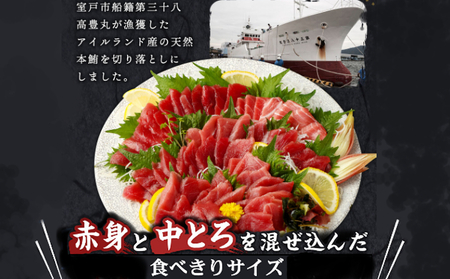 天然本マグロ 中トロ 赤身 切落とし 800g マグロ刺身 マグロ切落し マグロの赤身 マグロの中トロ マグロ丼 マグロ漬け丼 鮪