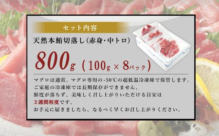 天然本マグロ 中トロ 赤身 切落とし 800g マグロ刺身 マグロ切落し マグロの赤身 マグロの中トロ マグロ丼 マグロ漬け丼 鮪