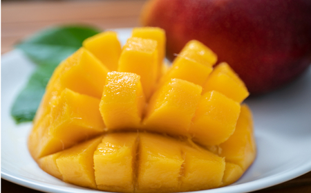 【令和8年7月上旬ごろより発送】 マンゴー 2～3玉入り アーウィン アップルマンゴー 完熟 先行予約 先行受付 家庭用 果物 フルーツ 贈答