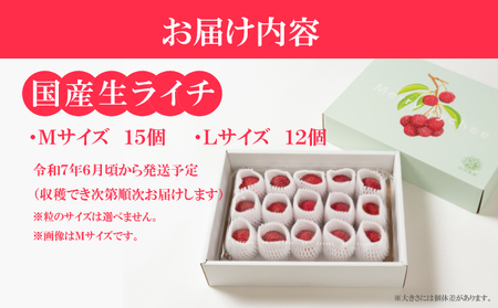 【令和7年6月中旬頃より発送】生ライチ 国産 室戸海洋深層水使用 ライチ 果物 化粧箱入り 贈答用