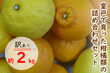 RK043【訳あり】柑橘詰め合わせセット(約2kg)