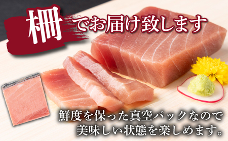 厳選！ 天然本まぐろ 中トロ  ４００ｇ お刺身用 天然まぐろ 天然マグロ まぐろ 鮪 刺身 お刺身 サク 柵 高知 室戸 冷凍 瞬間冷凍 小分け 便利 父の日 