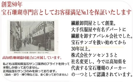 血赤珊瑚特大枝の根付ストラップ 室戸市産 桐箱入り _kn021