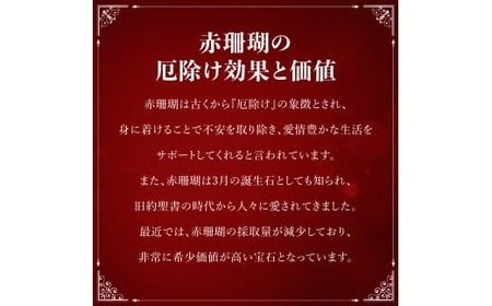 【ケンセン35】血赤珊瑚枝 アメリカンピアス / チタン｜室戸 ブランド ピアス