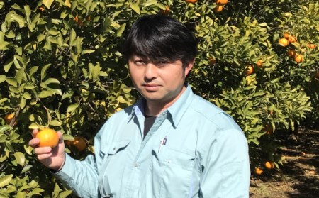 【室戸産ポンカン】冬の柑橘ポンカン 5kg