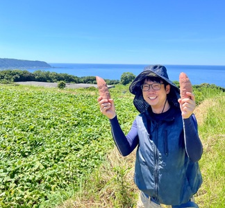 スイートポテト　キントキとバター（アソートBOX）