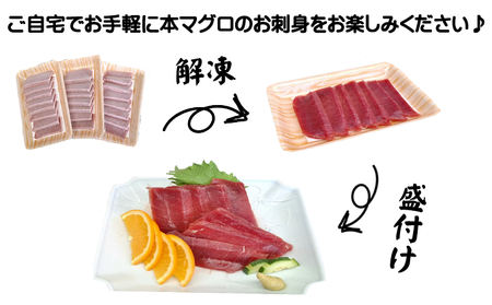天然本マグロ 刺身パック 【赤身】 210ｇ（70ｇ×3パック） 天然マグロ まぐろ 鮪 マグロ 刺身 お刺身用 高知 室戸 冷凍 瞬間冷凍 小分け 便利 10,000円