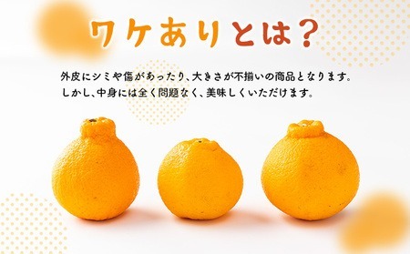 【不知火】3kg 岡村農園直送不知火 訳あり dp007