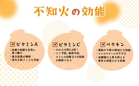 【不知火】3kg 岡村農園直送不知火 訳あり dp007