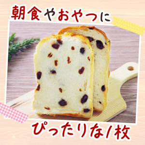12回 定期便 レーズン食パン 海洋深層水食パン 4斤 [ロマンド 高知県 rm011]