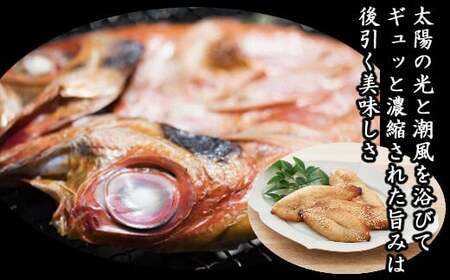 漁師の食卓訳あり定期便【６回お届け】 頒布会