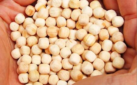 ひのき枕（大）