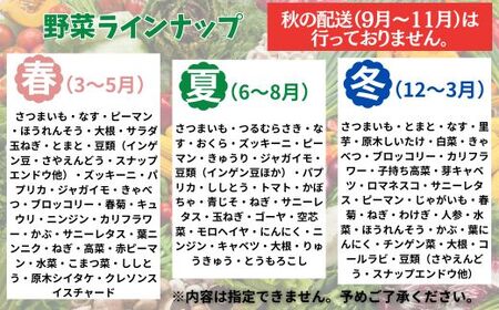 季節のお野菜詰め合わせセット 定期便 2回 旬のおまかせ 詰め合わせ 産地直送 季節の新鮮 野菜 定期便 果物 セット じゃがいも きゅうり トマト とうもろこし アスパラガス 玉ねぎ 蓮根 等  ふるさと納税 高知県 室戸市 rk051 