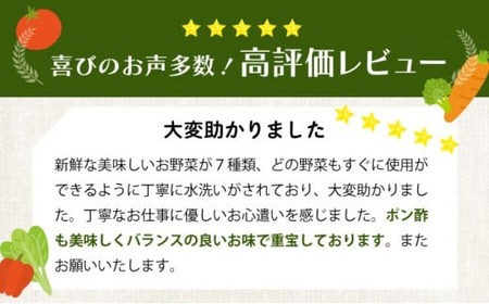 季節のお野菜詰め合わせセット 定期便 2回 旬のおまかせ 詰め合わせ 産地直送 季節の新鮮 野菜 定期便 果物 セット じゃがいも きゅうり トマト とうもろこし アスパラガス 玉ねぎ 蓮根 等  ふるさと納税 高知県 室戸市 rk051 