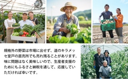 季節のお野菜詰め合わせセット 定期便 2回 旬のおまかせ 詰め合わせ 産地直送 季節の新鮮 野菜 定期便 果物 セット じゃがいも きゅうり トマト とうもろこし アスパラガス 玉ねぎ 蓮根 等  ふるさと納税 高知県 室戸市 rk051 