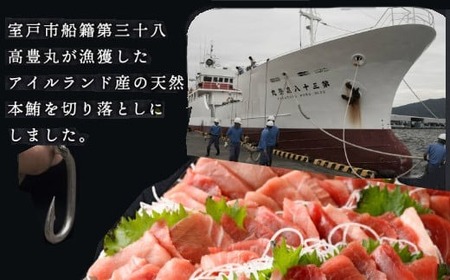 【定期便/計6回】天然本マグロ200g（切り落とし） 【まぐろ】tk148