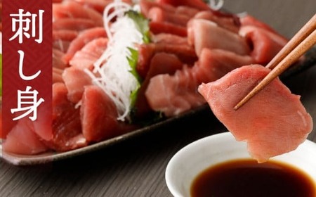 【定期便/計6回】本南マグロ 中トロ・赤身 400g【まぐろ】 Woo-tk150